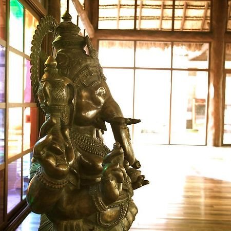 Las Ranitas Eco Boutique Hotel 툴룸 외부 사진