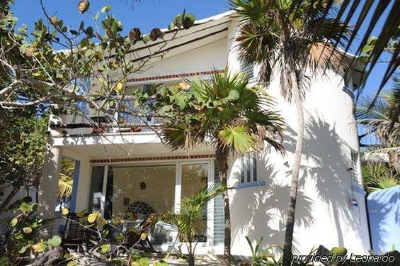 Las Ranitas Eco Boutique Hotel 툴룸 외부 사진