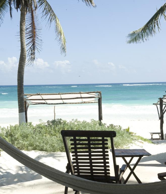 Las Ranitas Eco Boutique Hotel 툴룸 객실 사진