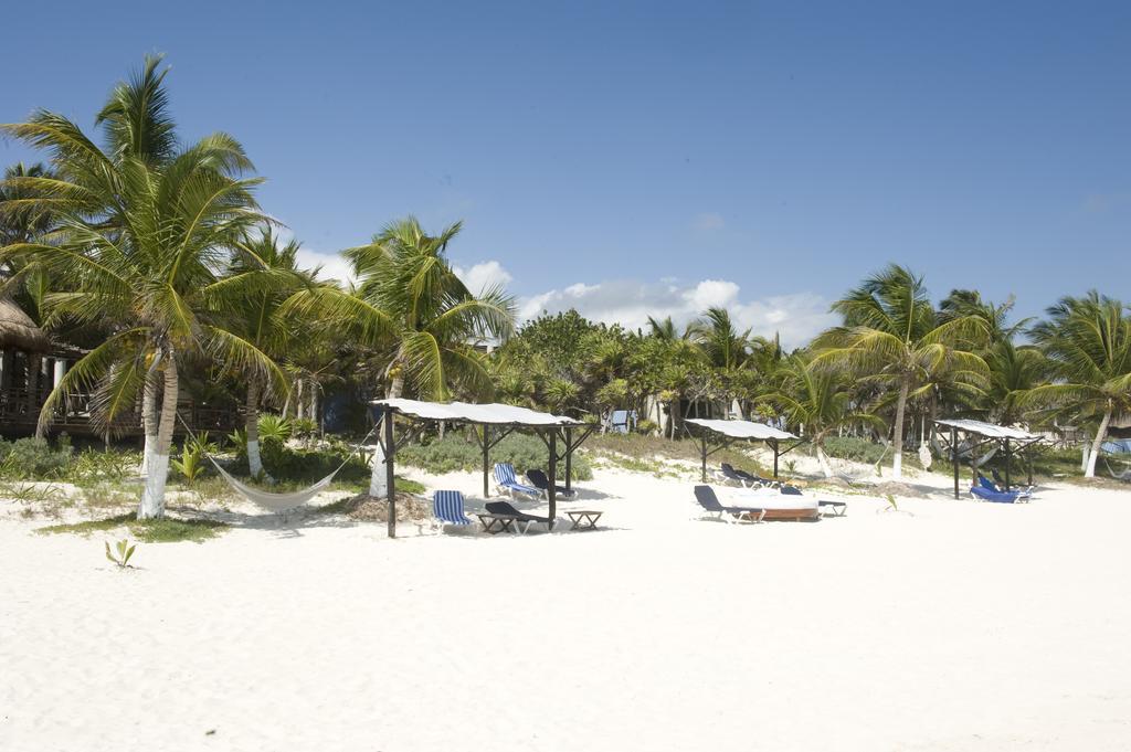 Las Ranitas Eco Boutique Hotel 툴룸 객실 사진