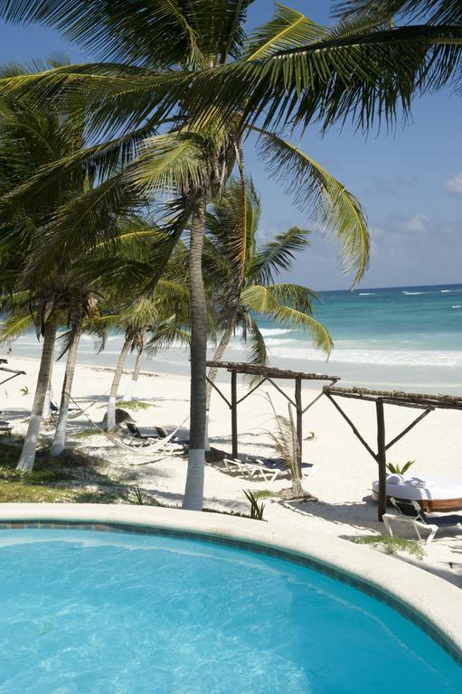 Las Ranitas Eco Boutique Hotel 툴룸 객실 사진
