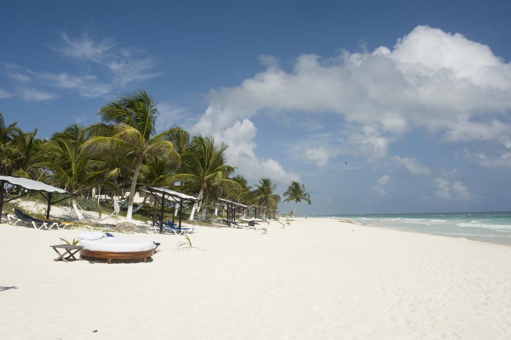 Las Ranitas Eco Boutique Hotel 툴룸 객실 사진